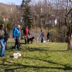hunde_2023-10.jpg