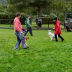 hunde_2023-255.jpg