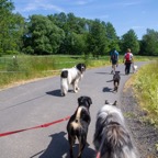 hunde_2023-76.jpg
