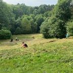 IMG_8037.jpeg
