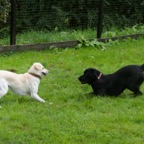 DSC05841.jpg